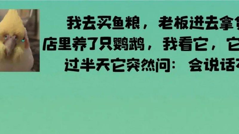 小标题：一、番茄火锅底料的魅力所在
